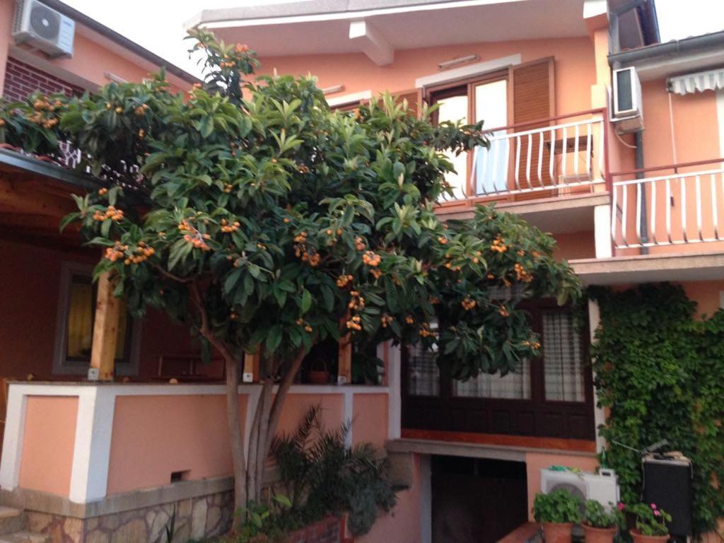 Apartmani Vilma Pakostane Exterior photo